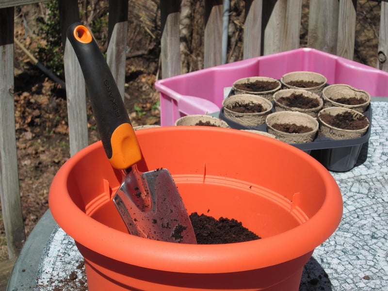 Container Gardening Tips