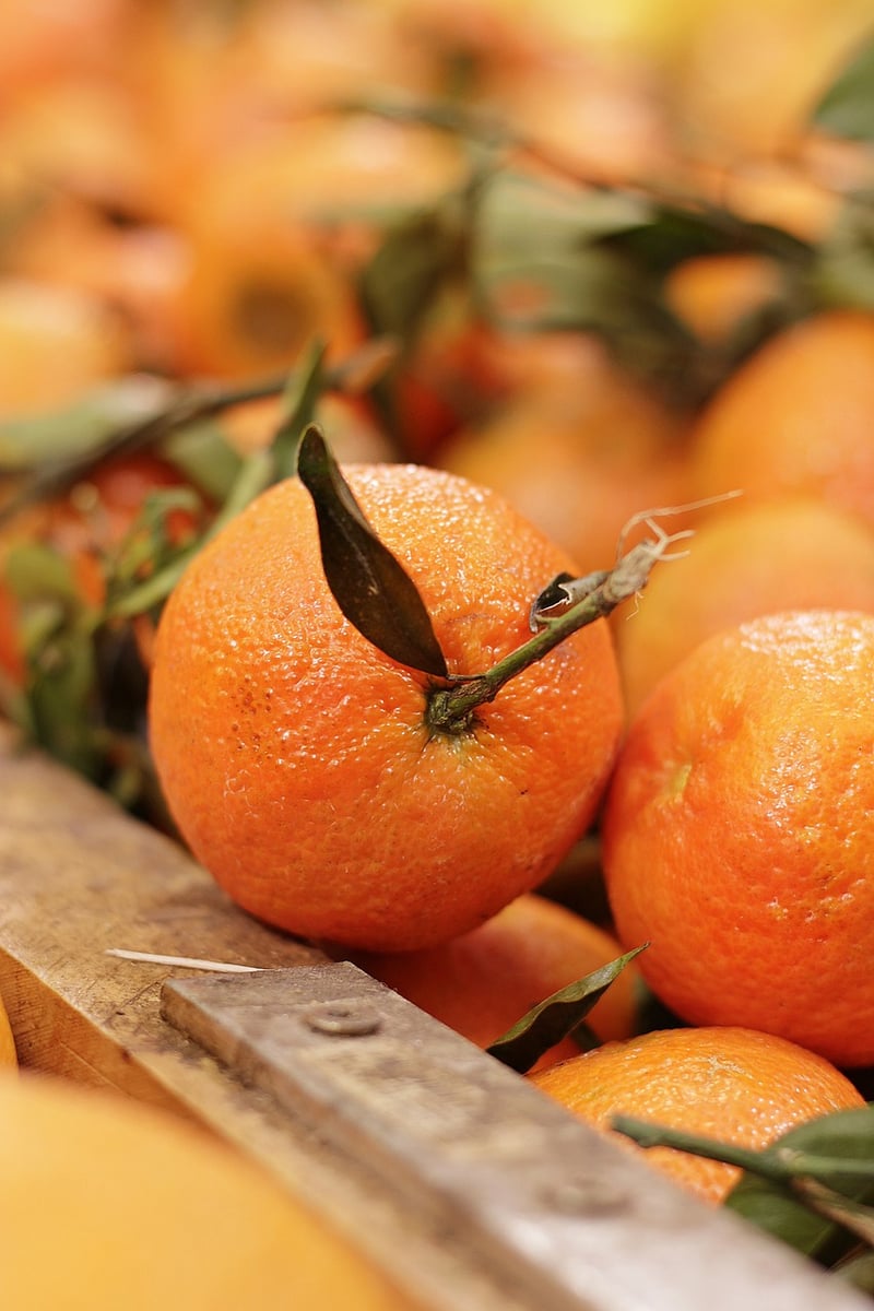 Citrus Salad